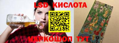 прущие грибы Можга