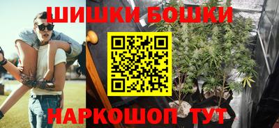 стаф Нальчик