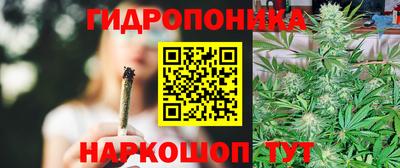 прущие грибы Можга