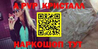 стаф Нальчик